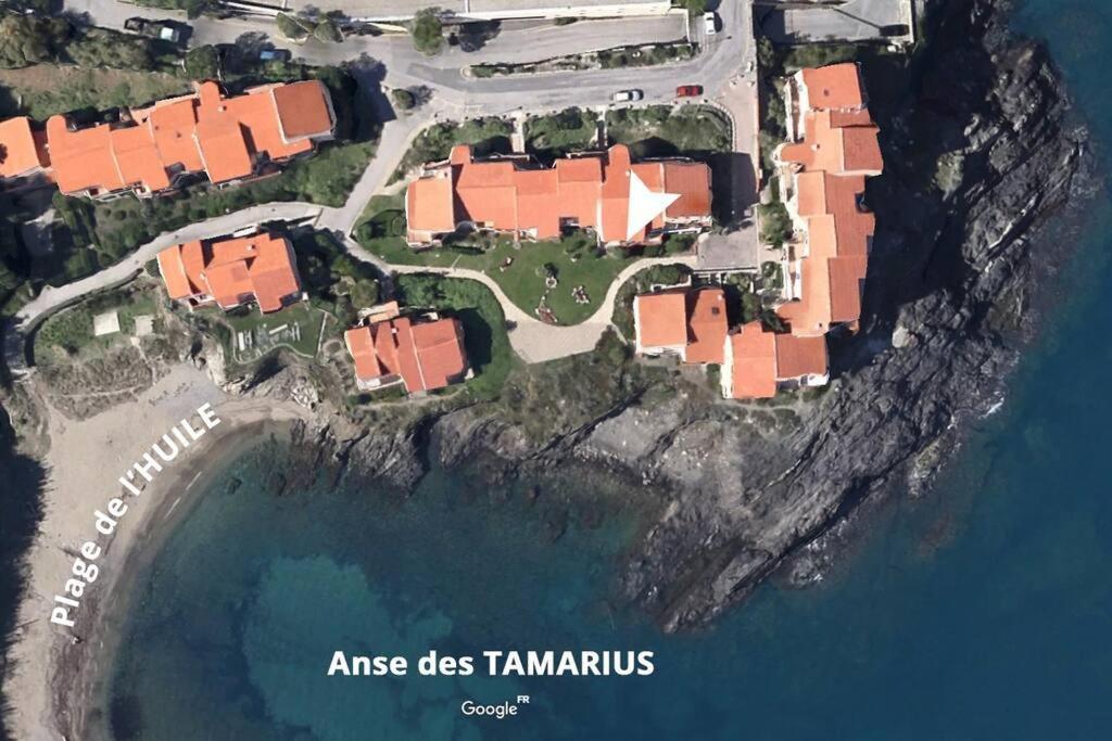 Collioure Appart En Bord De Mer Plage A 50M Clim Garage Location Du Samedi Au Samedi Экстерьер фото