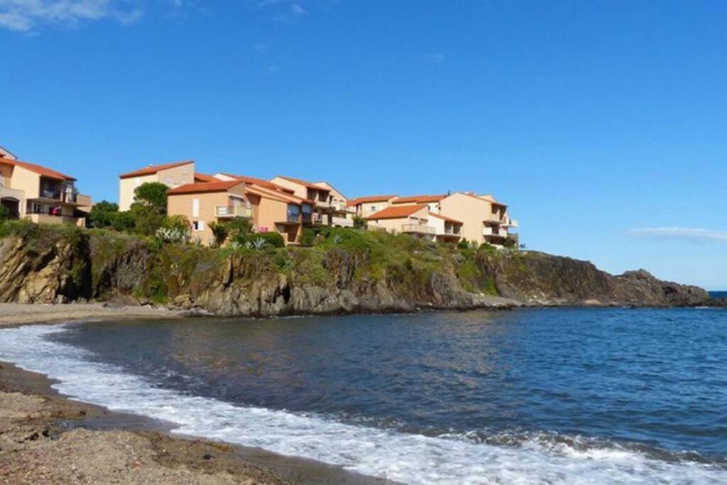 Collioure Appart En Bord De Mer Plage A 50M Clim Garage Location Du Samedi Au Samedi Экстерьер фото